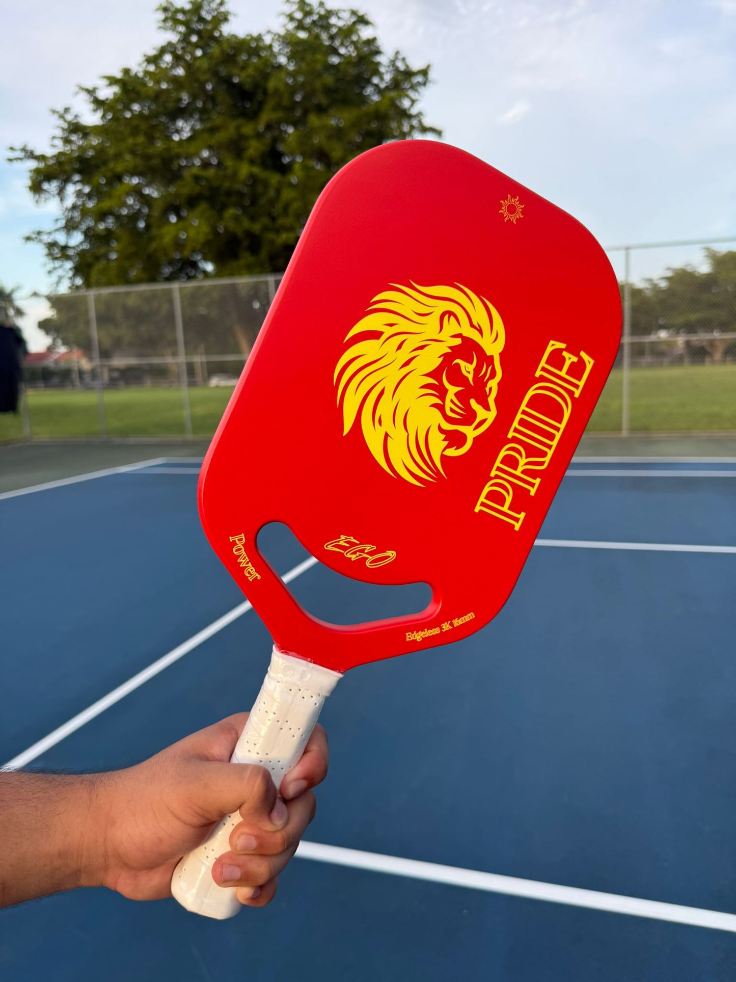 Pickleball Paddle PRIDE