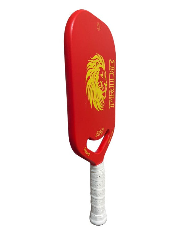 Pickleball Paddle PRIDE