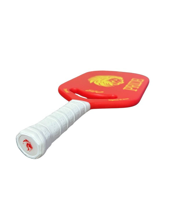 Pickleball Paddle PRIDE